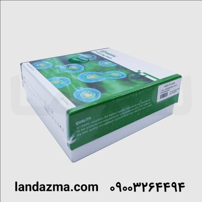 کرایوتیوب 1/5cc مدرج استریل تانک ازت DNAse/RNAse Free